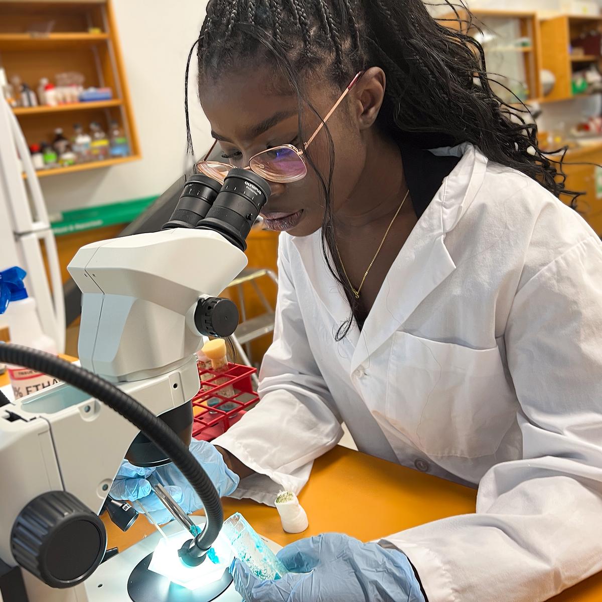 Sarima Amadi looks into a microscope in the biology lab, while wearing a white lab coat.