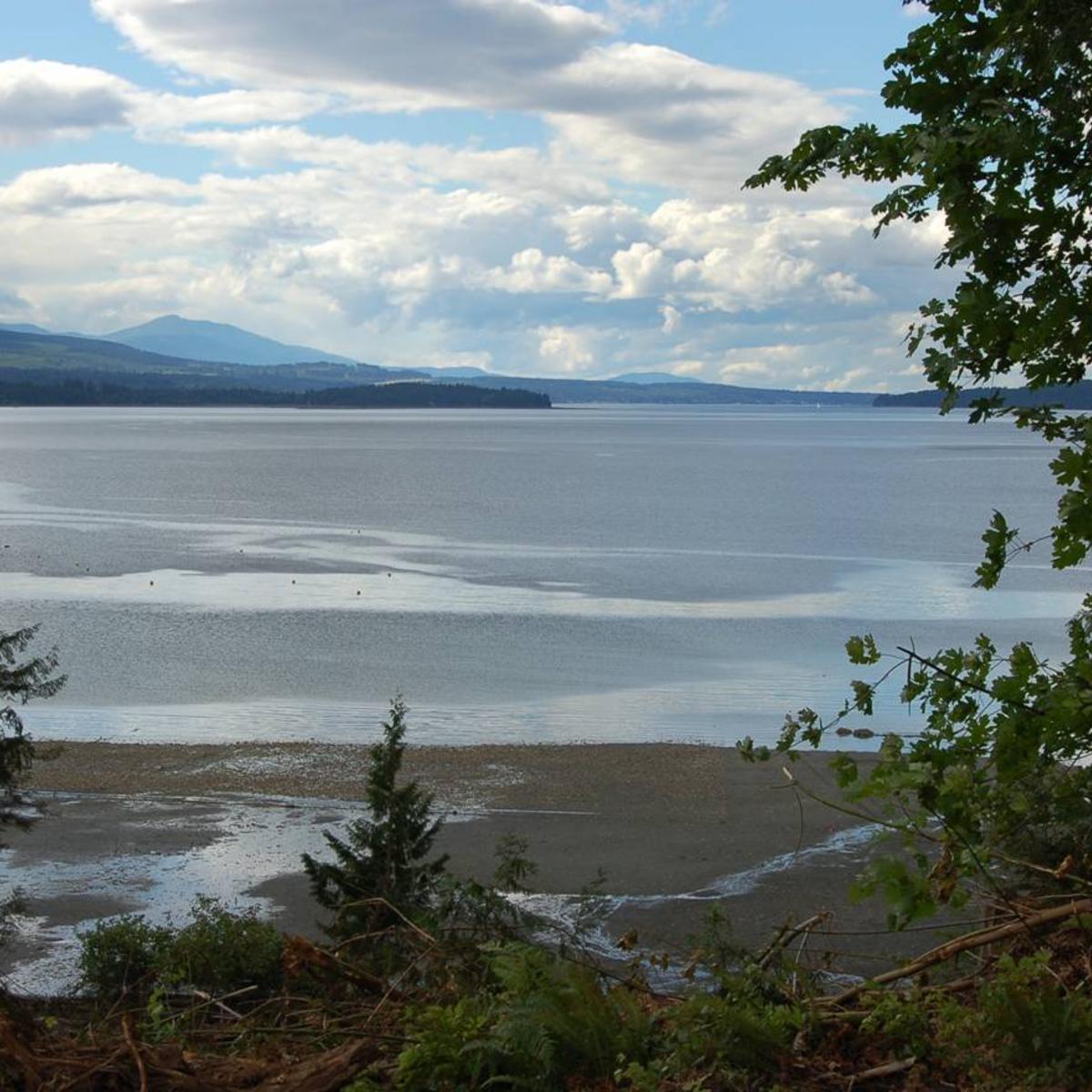 A view of Baynes Sound on a sunny day with some clouds in the sky