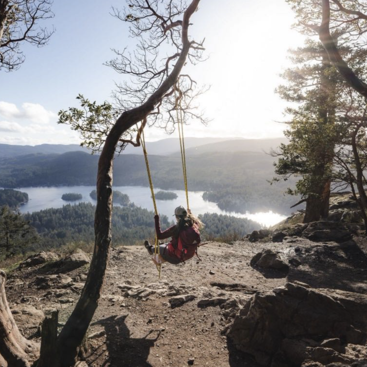 A woman with her back to the camera sits on a swing tied to a tree in a clearing on the top of a mountain looking down at the water below on a sunny evening.