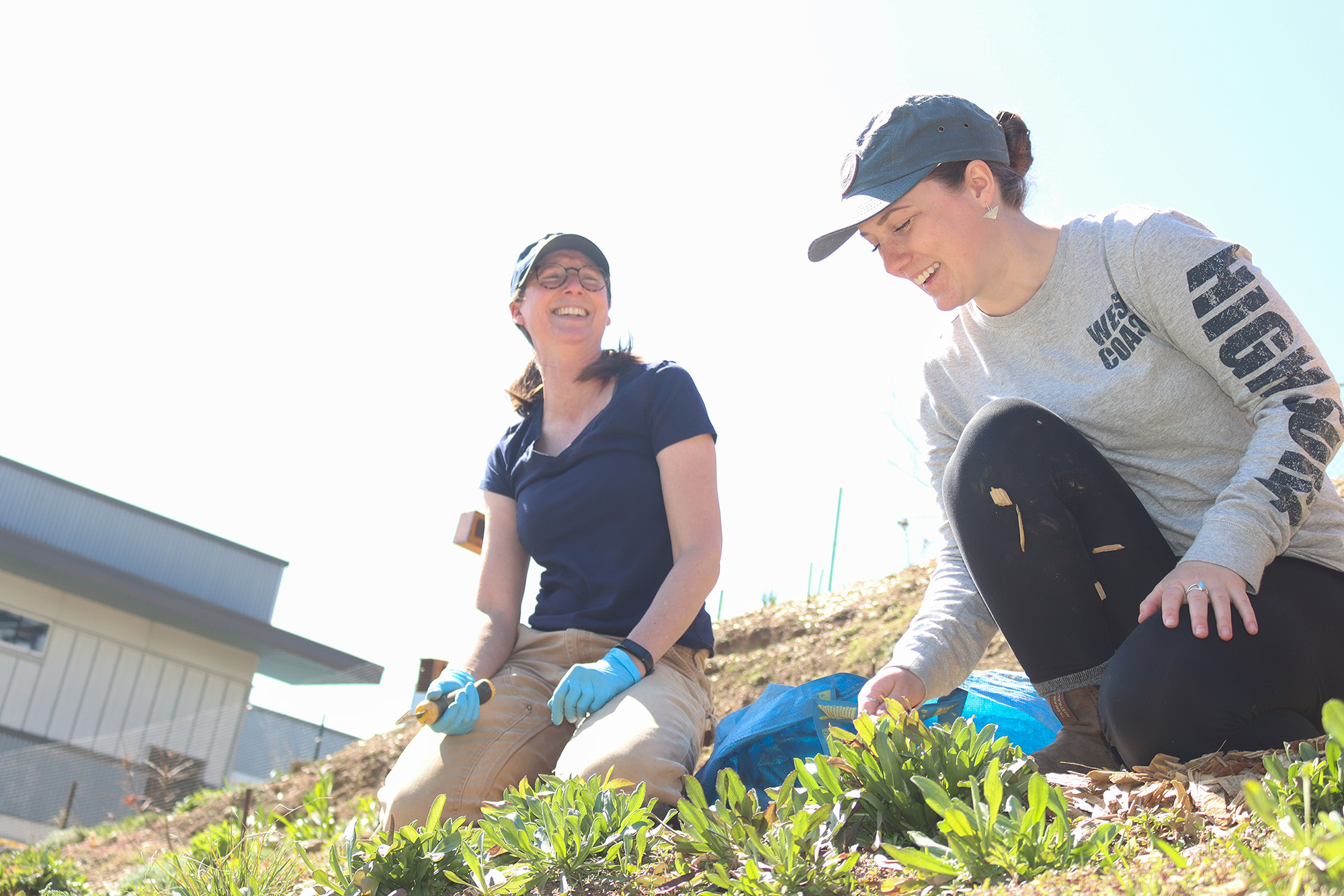 VIU Biology Professor Restoring One Of Canada’s Most Threatened ...