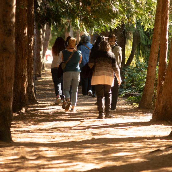 Backs of Walk With Me participants in a wooded area