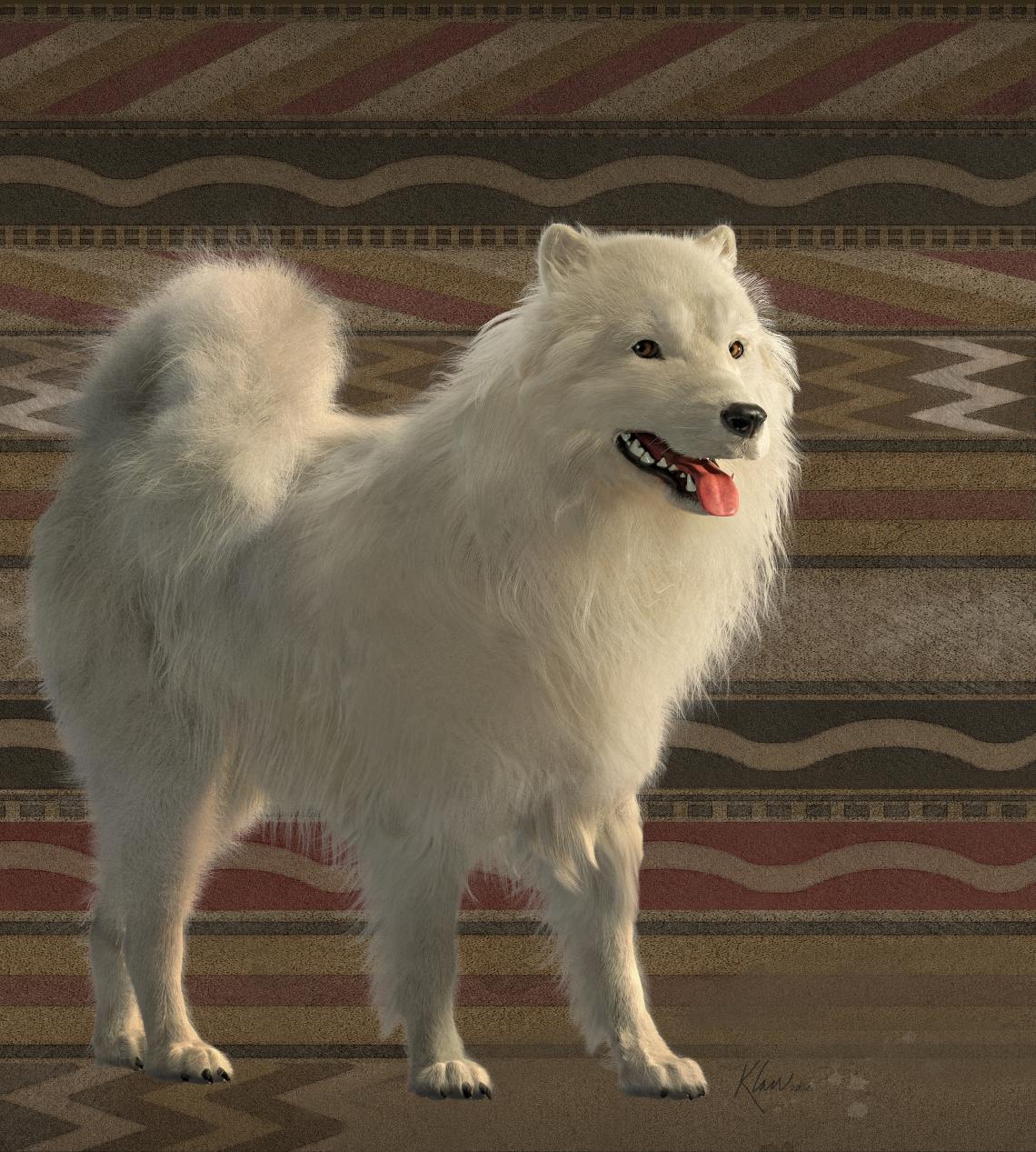 The reconstructed woolly dog stands against a stylized background of a Coast Salish weaving motif from a historic dog-wool blanket. The portrayal of the weaving motif was designed under advisement of the study’s Coast Salish advisory group. 