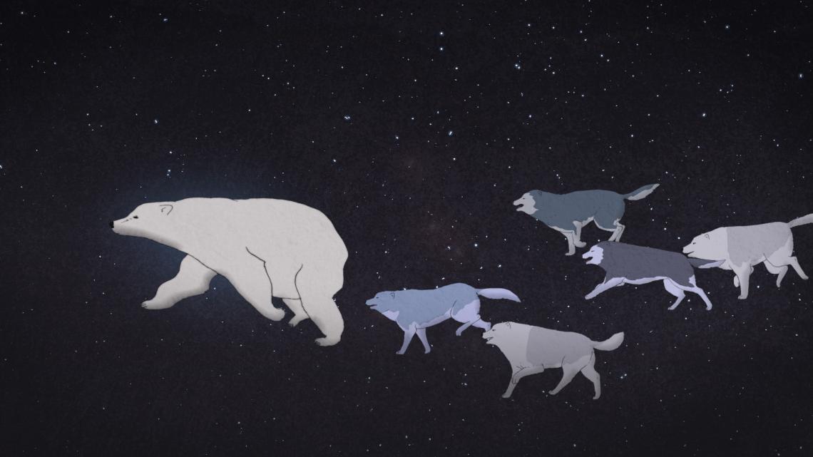 Animated wolves and a polar bear run across a sky of stars