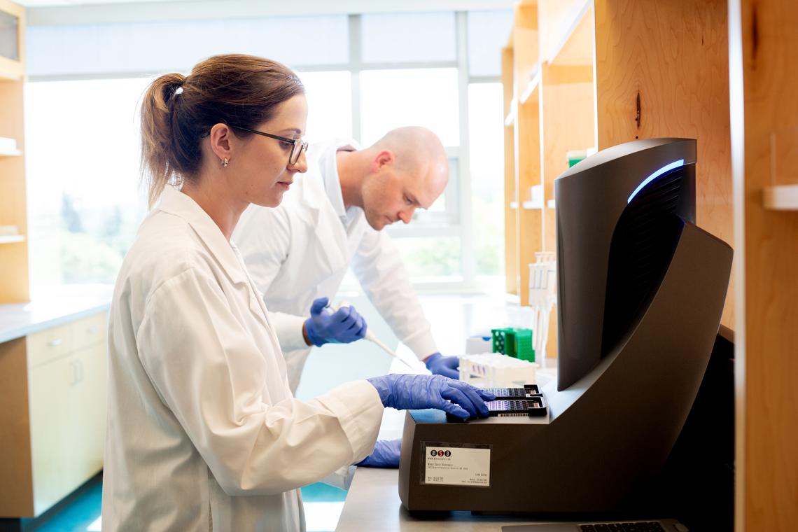 Two people look at samples together