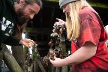 Two students hold up a piece of kelp covered with mussels and eggs