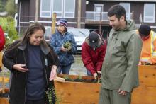 Elder Bonnie Jones and Graham Sakaki, MABRRI Research and Community Engagement Coordinator, plant seedlings in the Garden of Spiritual Healing at the Snaw-Naw-As Health Centre.
