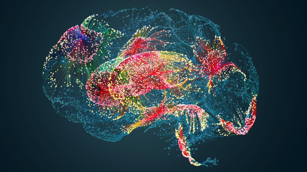 A picture of a brain lit up with different colours