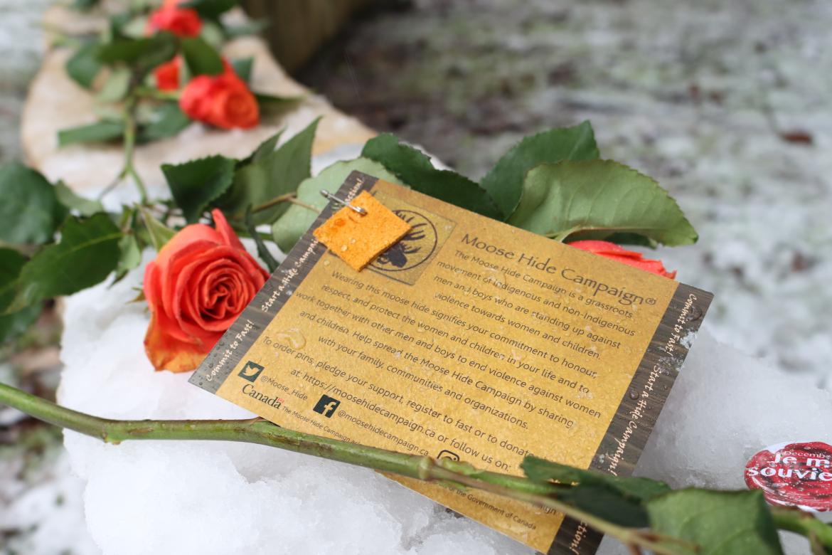 Roses on snow with a Moose Hide Campaign poster