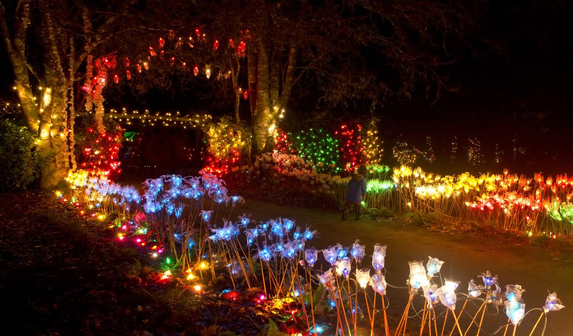 Milner Gardens & Woodland Lights up for the Holidays News Vancouver
