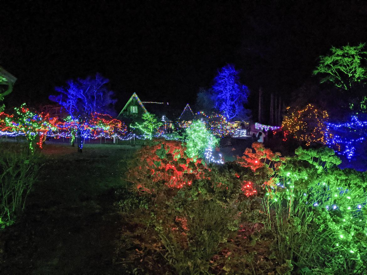 Red and green online lights on house