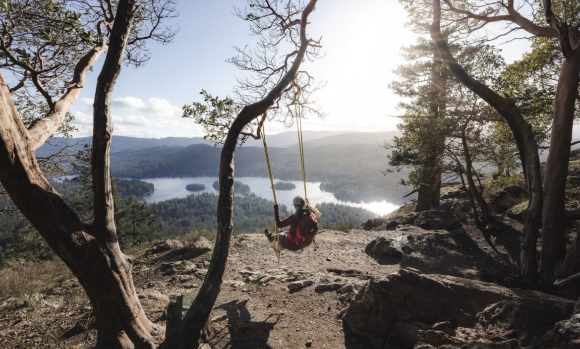 A woman with her back to the camera sits on a swing tied to a tree in a clearing on the top of a mountain looking down at the water below on a sunny evening.