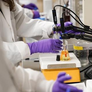 people in white coats and purple lab gloves look into microscopes