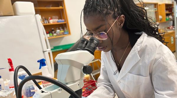 Sarima Amadi looks into a microscope in the biology lab, while wearing a white lab coat.