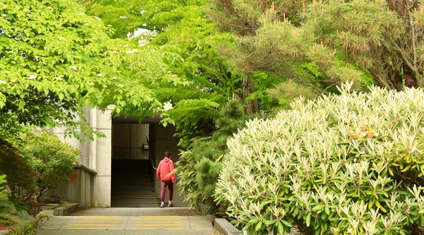 A student walks through gardens on VIU's Nanaimo campus