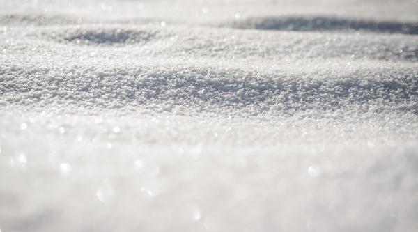 snow on the ground
