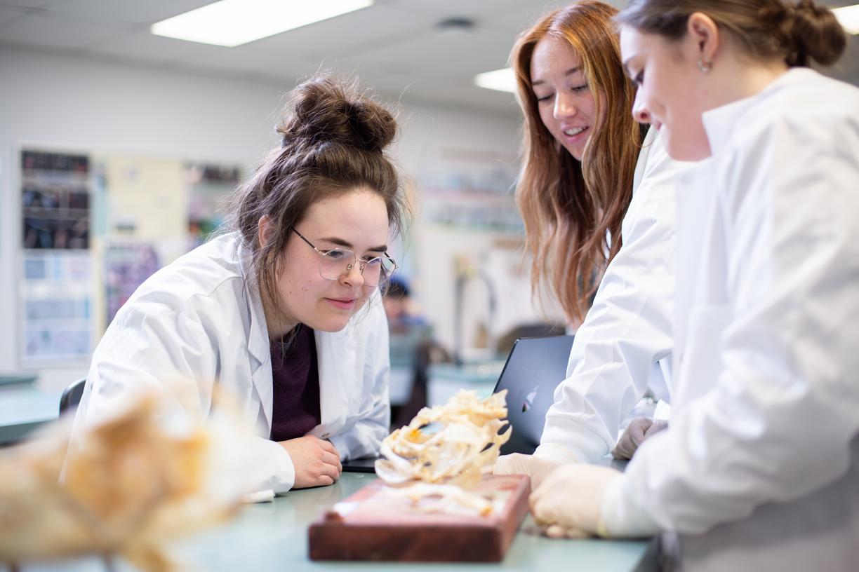 three science students gatherered around a table looking at model of bone structure