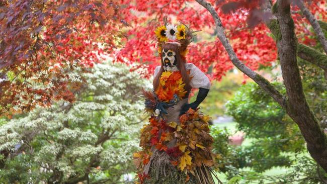 scarecrow in the woods