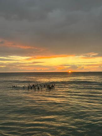 swimming with a sunset behind them