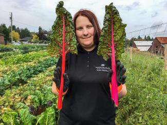 VIU WEST student Jenna Janzen holding colourful Swiss chard leaves. Planting Vegetable Seeds for a Growing Need