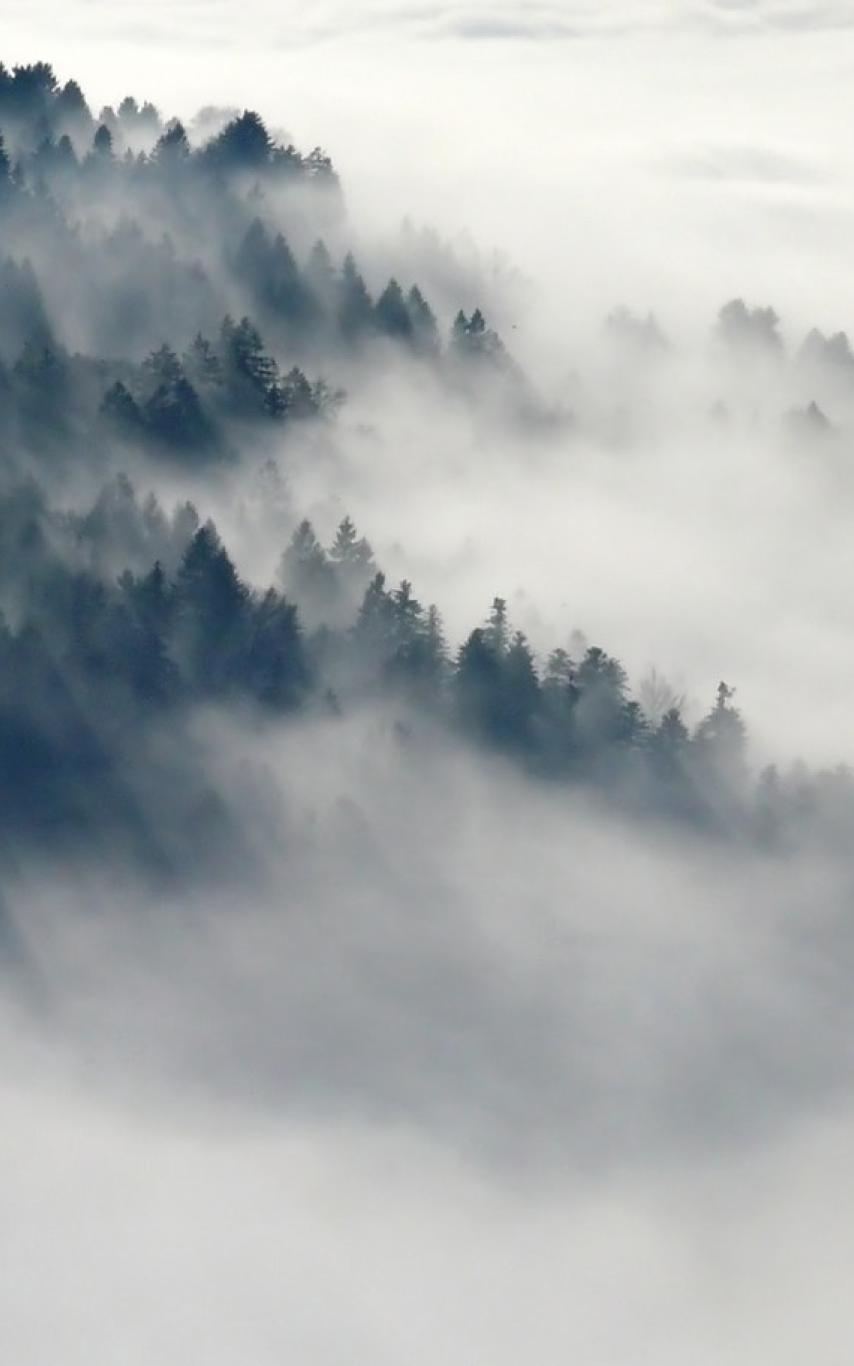 Foggy mountainside