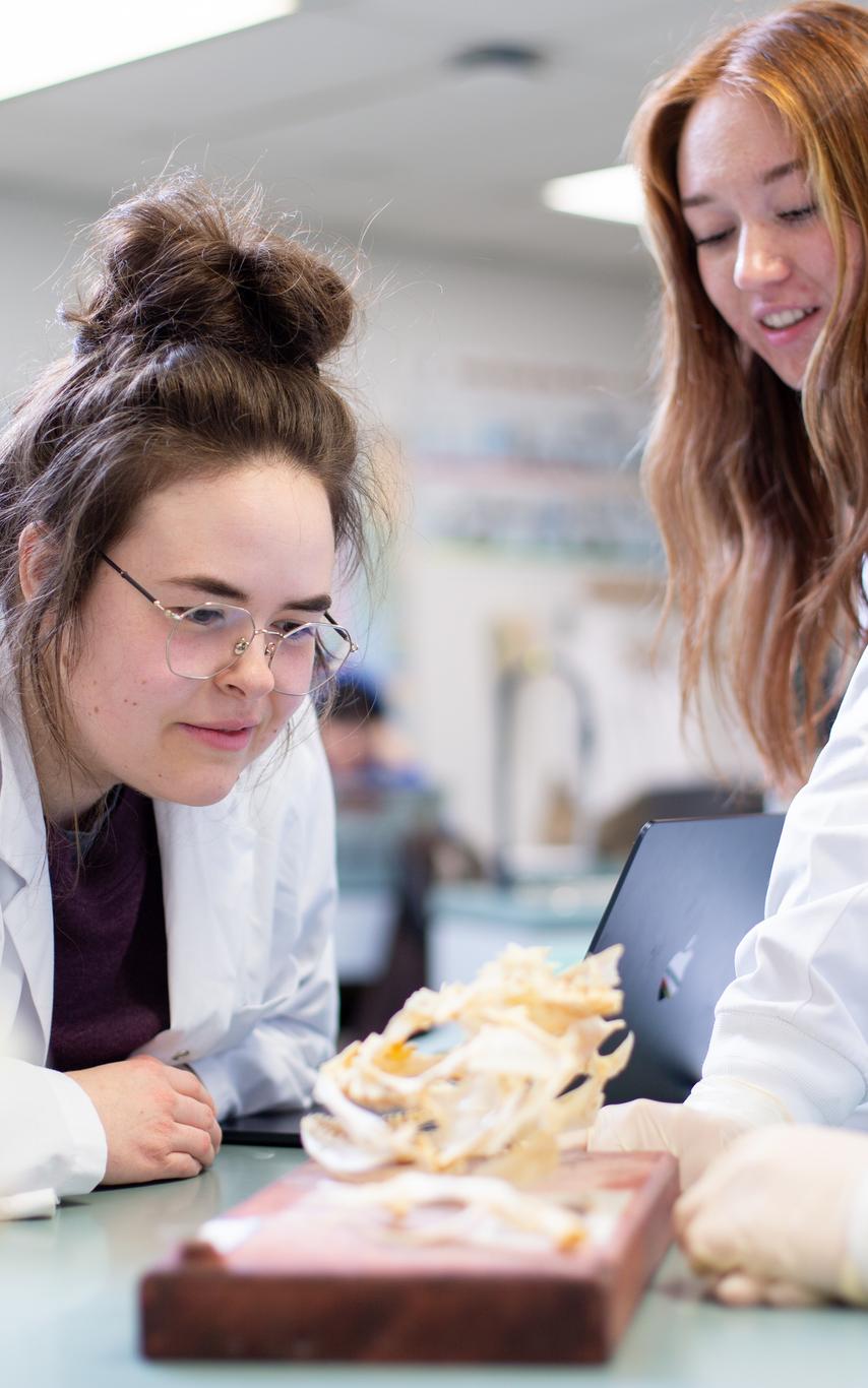 three science students gatherered around a table looking at model of bone structure