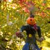 A scarecrow with a pumpkin for a hand and flower bouquets for hands is nestled among trees.