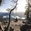 A woman with her back to the camera sits on a swing tied to a tree in a clearing on the top of a mountain looking down at the water below on a sunny evening.