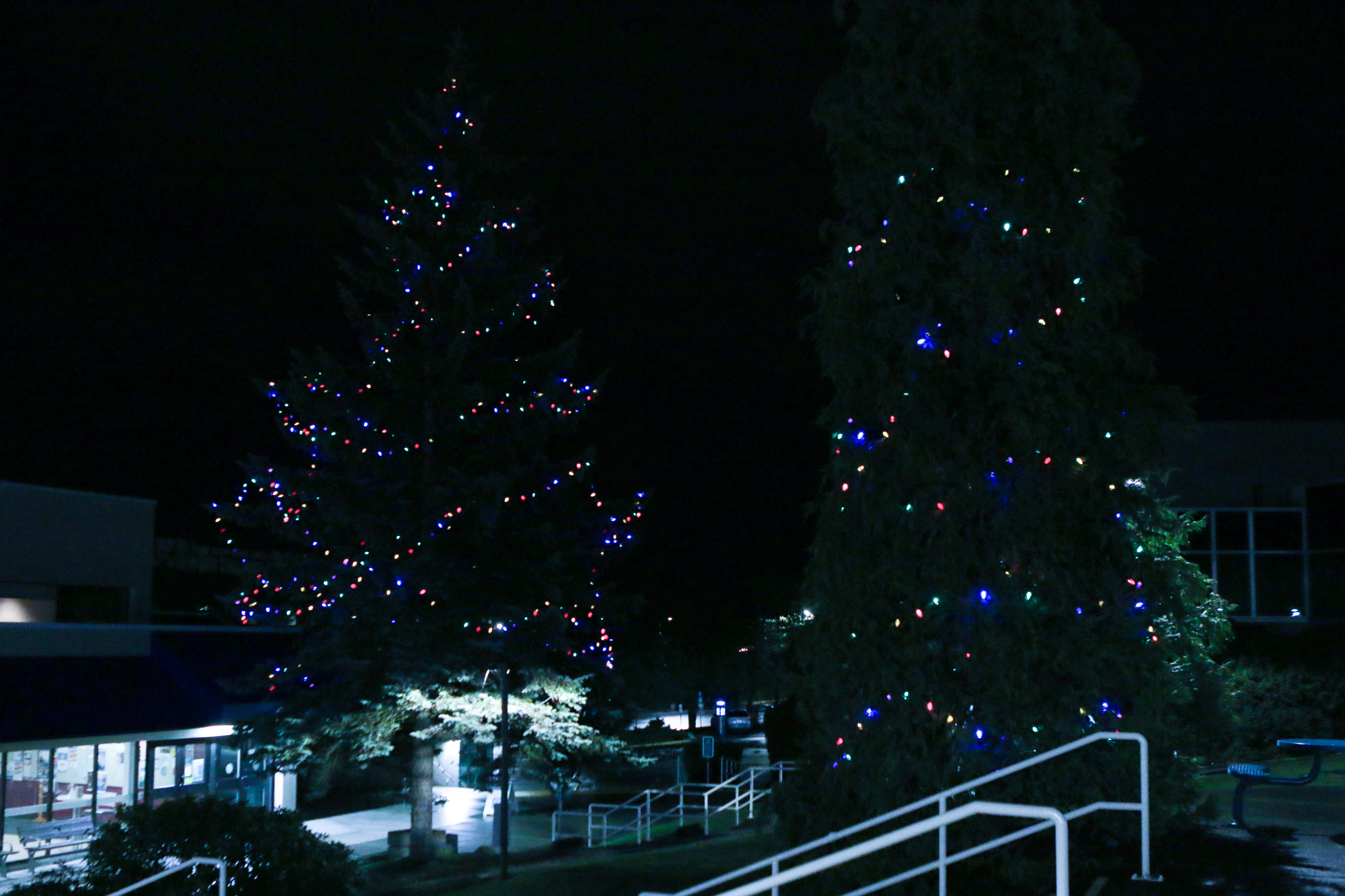 T’was the Week Before Christmas (VIU Version) | News | Vancouver Island University | Canada